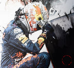 Max Verstappen - Maximus Decimus